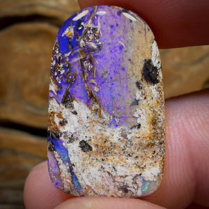 14,9 ct – Massiver australischer Boulder-Pfeifenopal, Motiv: Aquatisches Riff-Bildstein