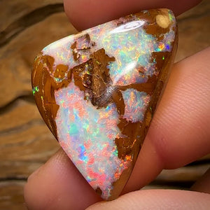 21.9cts - Top Queensland Boulder Opal Fossil Wood from Yowah. Red Multicolours!