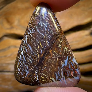 22.6cts - “Deep Forrest’s Fears” Tribal Queensland Boulder Opal Picture Stone