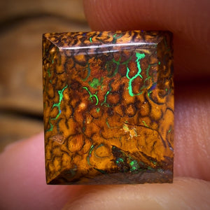 7.05cts - Yowah Nut Opal. Full Face / Tribal Double Sided