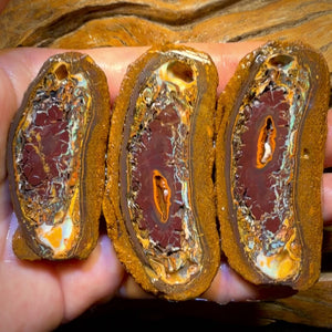 664.5cts - Tribal Yowah Nut Rough Specimen Trio