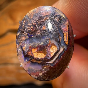 🔨 AUCTION 🔨 No Reserve 7.8cts - Tribal Queensland Boulder Opal