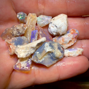 67.9cts - 13x Opalised Fossil Geological Specimens from Lightning Ridge