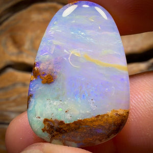 34.1cts - Wood Fossil Replacement Boulder Opal from Yowah
