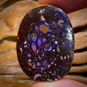 62.6cts - Tribal Yowah Nut Opal. Australian Opal