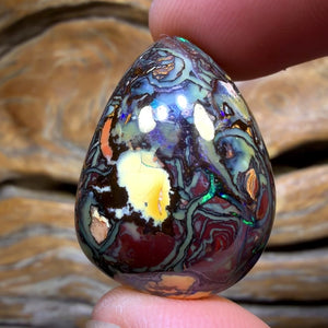 61.5cts - Tribal Queensland Boulder Opal from Yowah