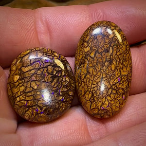 64.5cts - Loose Queensland Boulder Opal Set