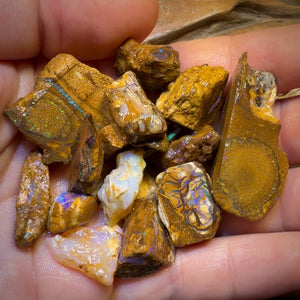 🔒330.5cts - 20x Opalised Wood/Vegetation Fossil Rough Parcel from Yowah