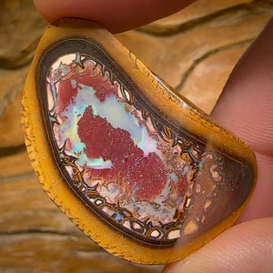 107.2cts - Yowah Nut Kernel Opal Specimen Polished