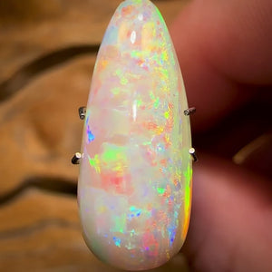 4.15cts - Rare Polished Opalised Shell Fossil from South Australia