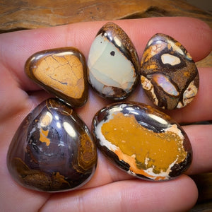 169.6cts - 5x Australian Boulder Opal’s. Wholesale Dealers Parcel