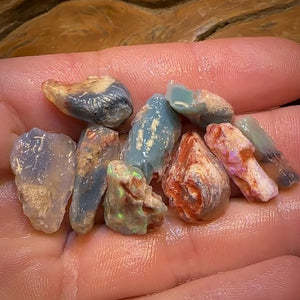 57.9cts - 9x Opalised Fossil Geological Specimens from Lightning Ridge