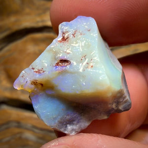 21.1cts - Lightning Ridge Dark Opal Rough Piece