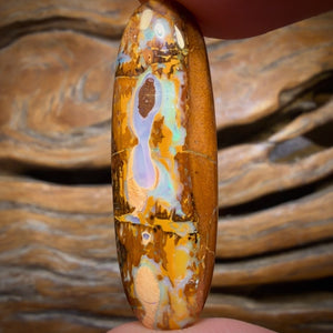 22.1cts - Yowah Nut Opal. Australian Opal