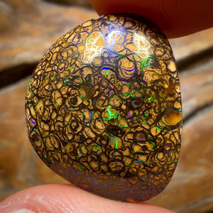 22.5cts - Tan Tribal Queensland Boulder Opal from Yowah