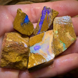 227cts - 5x Queensland Boulder Pipe Opal Rough Parcel