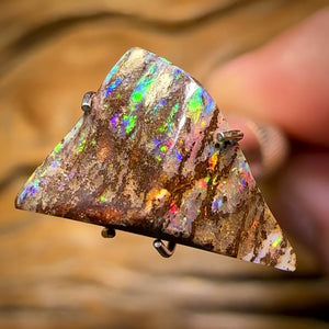 Auction Fall-Through = Your Gain! 🔥 Now More Than 50% Off RRP 🚨 3.2cts - Rare Queensland Boulder Opal Fossil Wood Rub from Yowah with Red