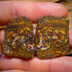 126.2cts - Yowah Nut Tribal Opal Rough Specimen Pair