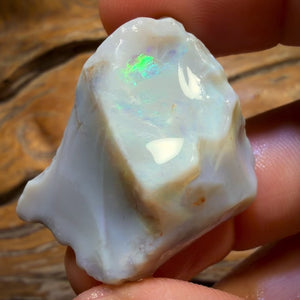 Wildcard! 76.5cts - Lightning Ridge Dark Opal Rough Piece