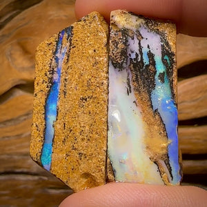Bargain card! 85.1cts - 2x Queensland Boulder Pipe Opal Rough Pieces