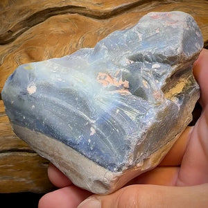 1544cts - HUGE Lightning Ridge Black Potch Opal Rough Piece Less than $0.20c/ Ct