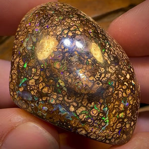 243.8cts - Rare Polished Tribal Yowah Nut Opal Geological Specimen with Gypsum