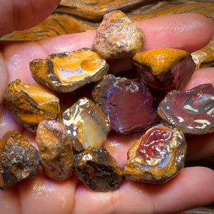 🔨 AUCTION 🔨 465cts - 11x Yowah Nut Rough Opal Parcel. Australian Boulder Opal