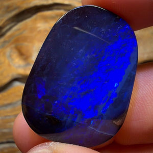 🔨 AUKTION 🔨 Ohne Mindestpreis 50,4ct - Top Queensland Boulder Seam Opal