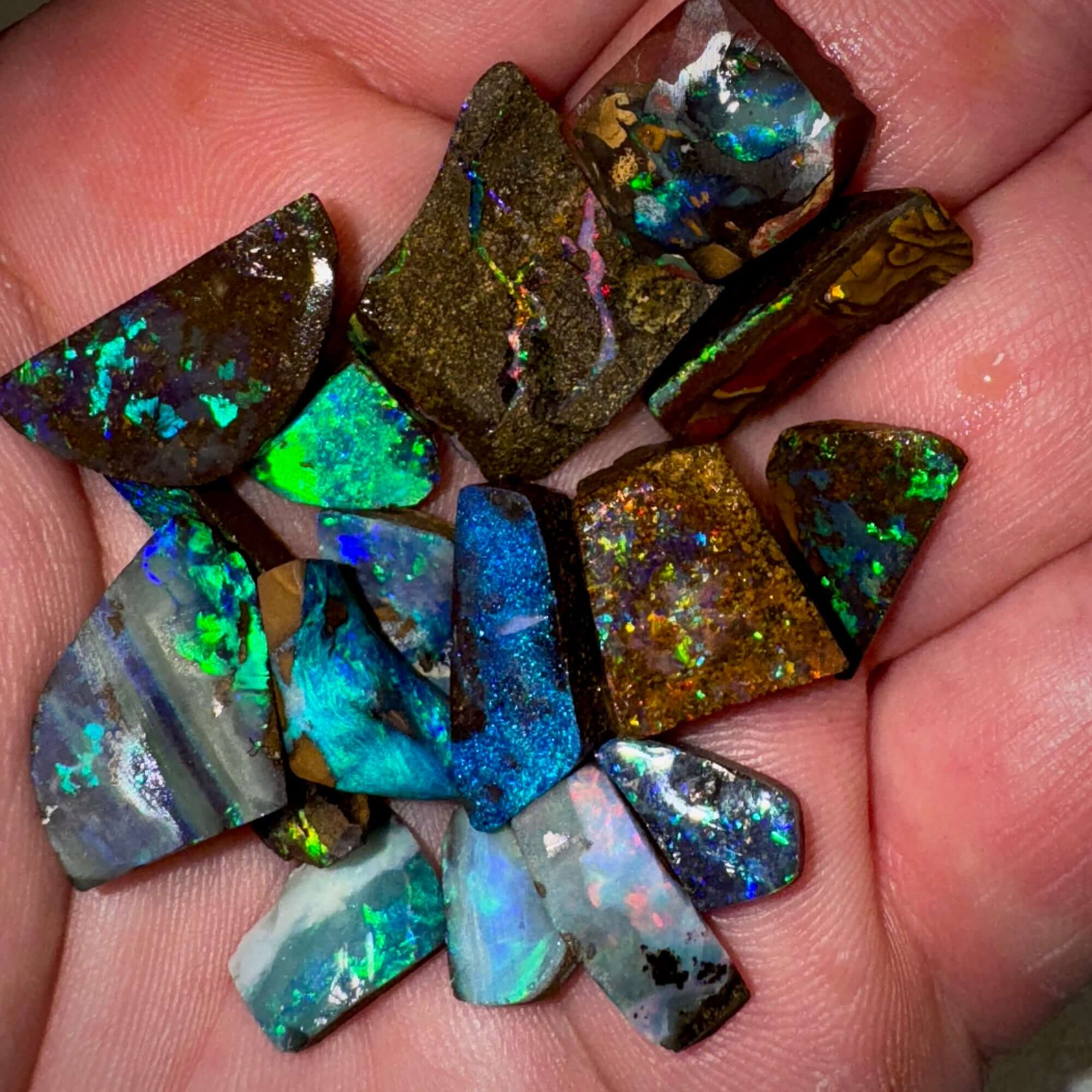 Opal collections