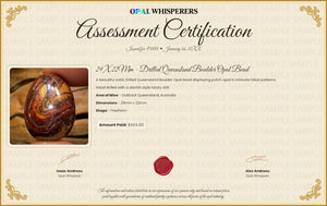Opal Whisperers Digital Assessment Certification New Bargain Price!