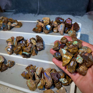 NOW AVAILABLE 20+ Queensland Boulder Opal Cutting Rough. Bargain BULK LISTING